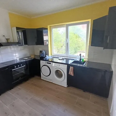 Tara Проживание в семье