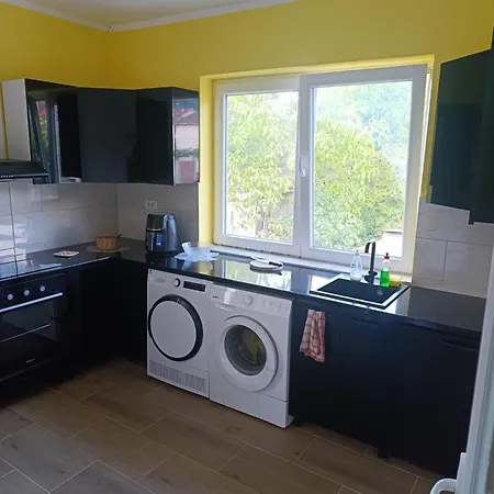 Tara Проживание в семье