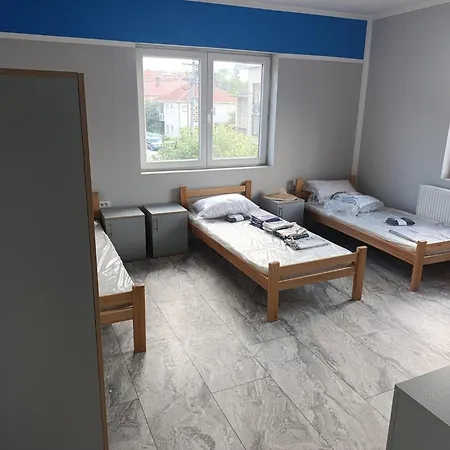 Проживание в семье Tara Surdulica