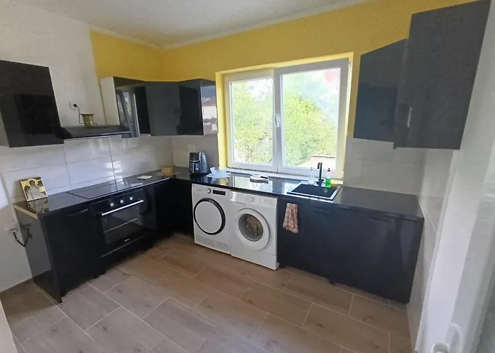 Tara Проживание в семье