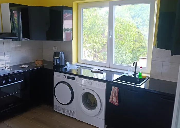 Tara Проживание в семье