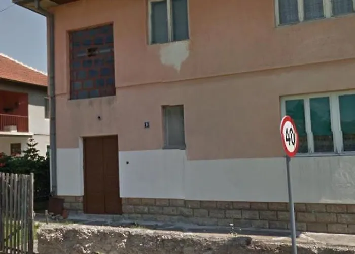 Tara Проживание в семье *