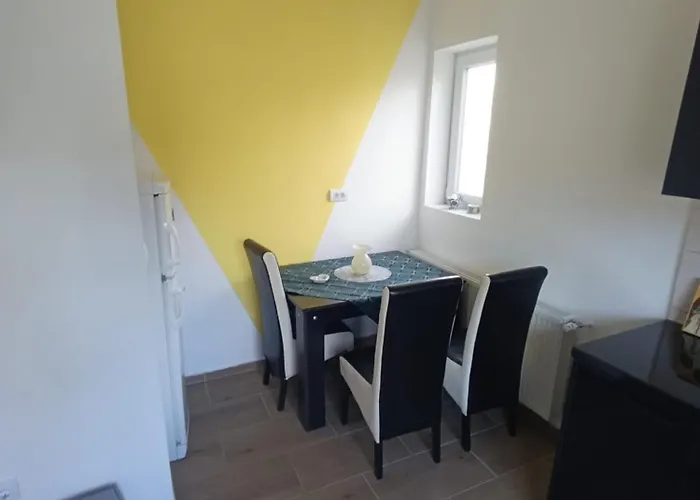 Tara Проживание в семье *